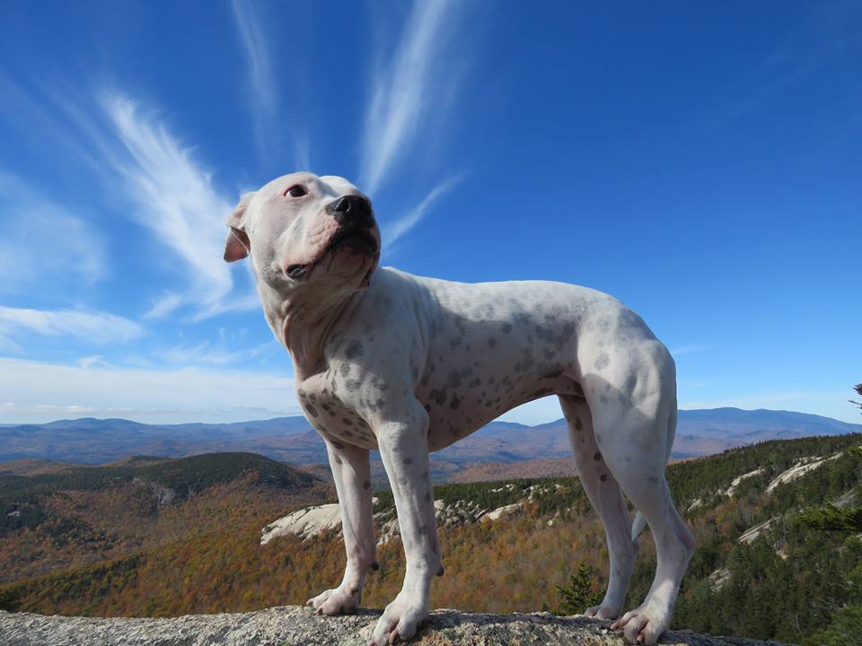 Welch-Dickey Loop Trail